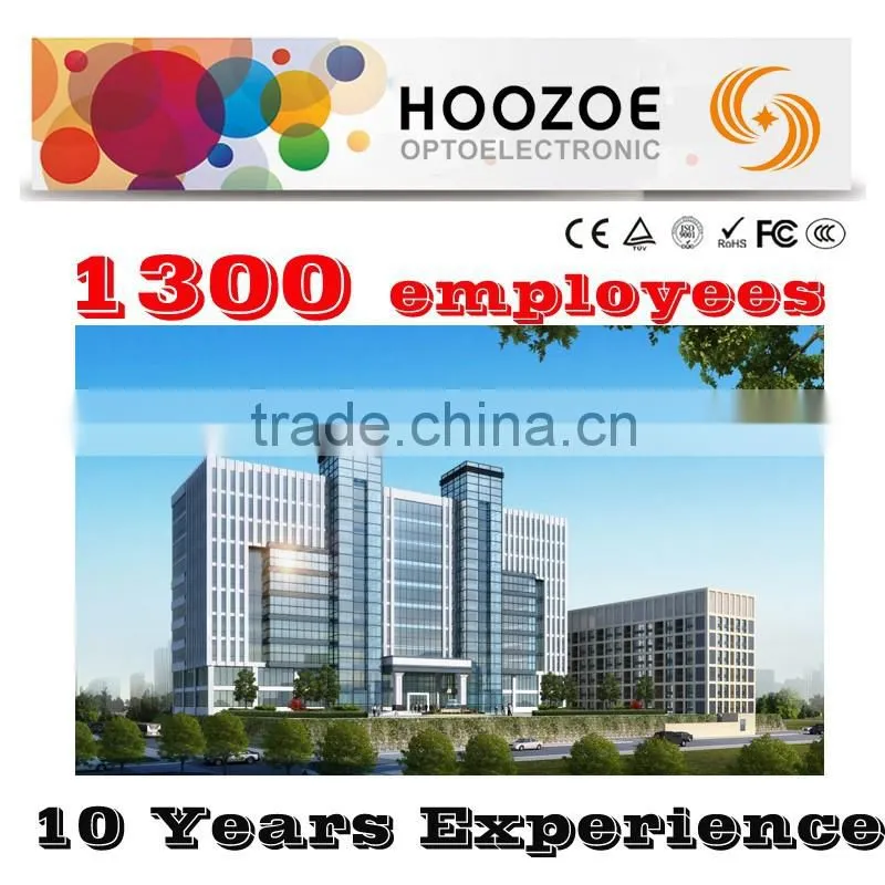 Hoozoe Waterproof Series-P10 outdoor single color led timer
