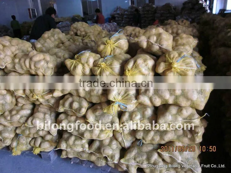 fresh potato (chinese)