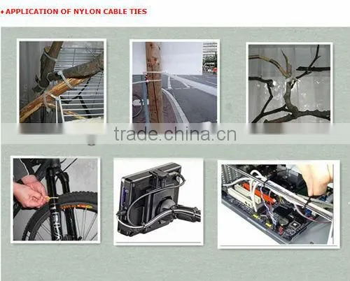 plastic tie lock wraps sizes,Self lock Nylon Cable ties