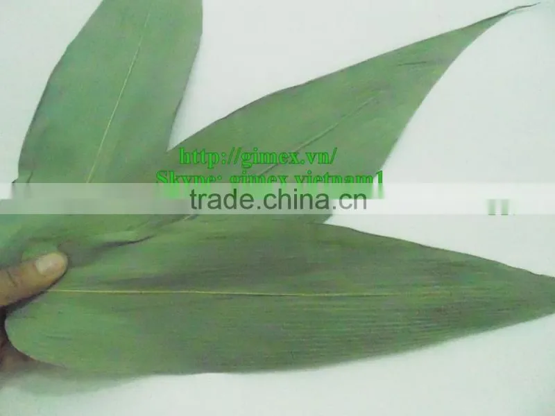 Dried bamboo leaves