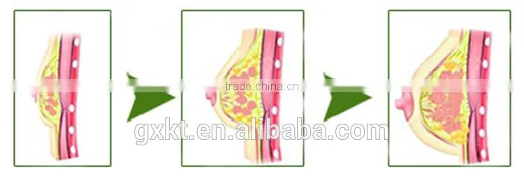 100% Natural Thailand Pueraria Mirifica Powder for Breast Enhencement