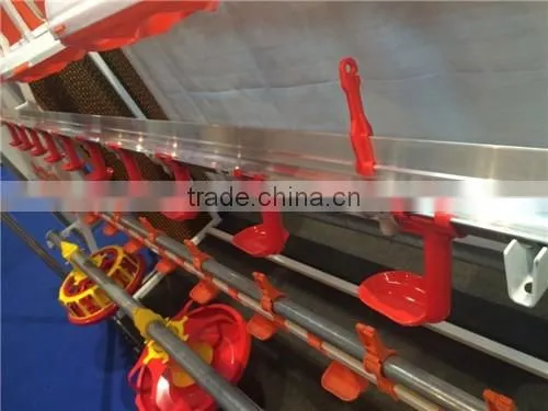 Eonomical commercial steel frame broiler chicken house