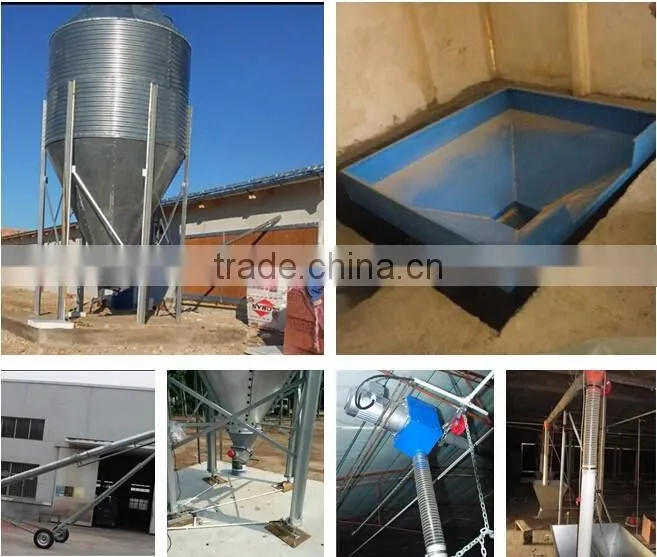 Chicken feeding system