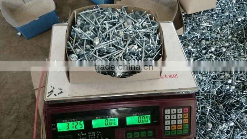 Hot-selling polished common nails / roofing nails / flat head nails
