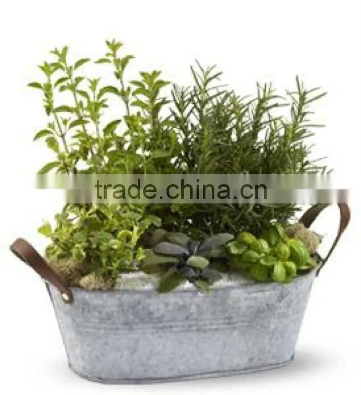 Copper Patina Trio Planter kit, Mini Garden Kit, Indoor grow Kit