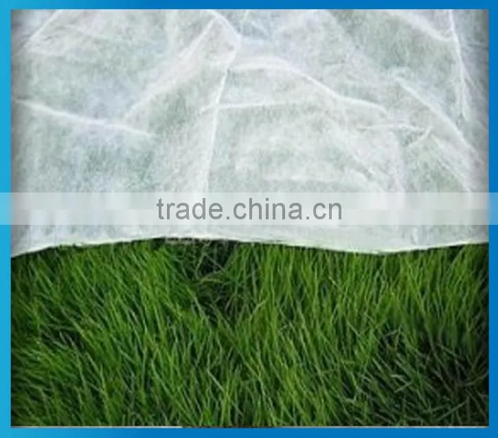 PET Agriculture non-woven polyester