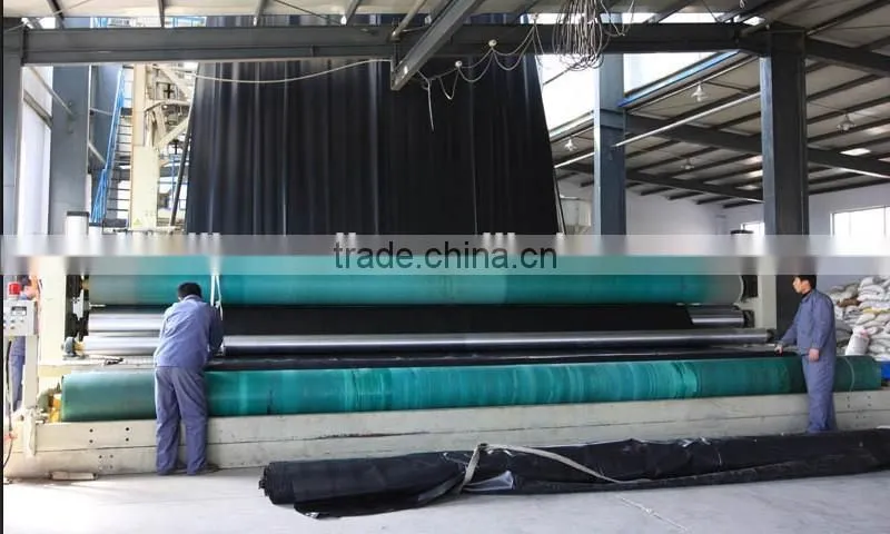 Hdpe geomembrane for seepage control project