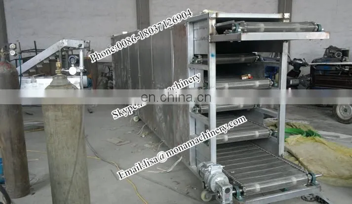 Prunes Multiple layer continuous type mesh belt dryer