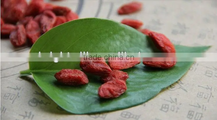 Chinese wolfberry, Medlar,Goji, Food seasoning