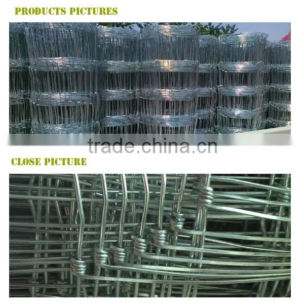 electro galvanized grassland fence(top wire with 2.5mm)