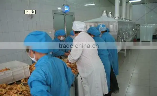 automatic high quantity Microwave vegetable drying equipment