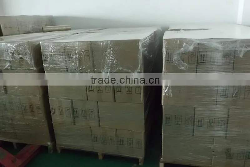 direct manufacturer of AC gear motor