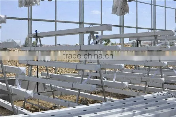 Good Quality Hydroponics Greenhouse