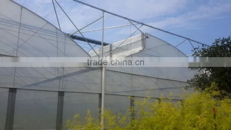 Hot Sale Economical Fix Vent Greenhouse