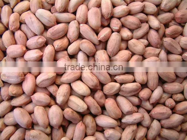 New crop coated peanut in shell