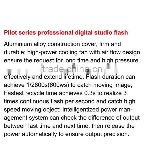 Jinbei High Power Professional Studio Flash Light P-1200 Photographic Equipment