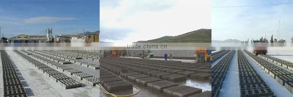 WT10-15 big movable block machine for tunisia