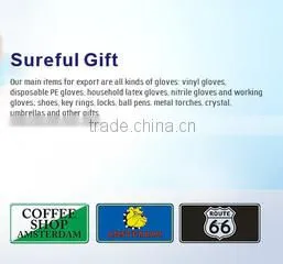 Anqing Sureful Import & Export Co., Ltd. company overview - view 1