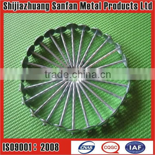 Manufacturer Galvanized Umbrella head roofing nails