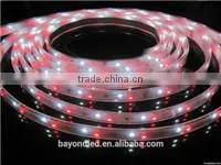 220V 5050 led strip