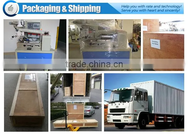 Horizontal Flow Packing Machine Price in India