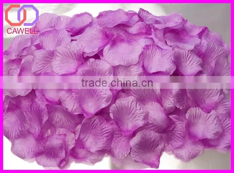 preserved natural rose petals