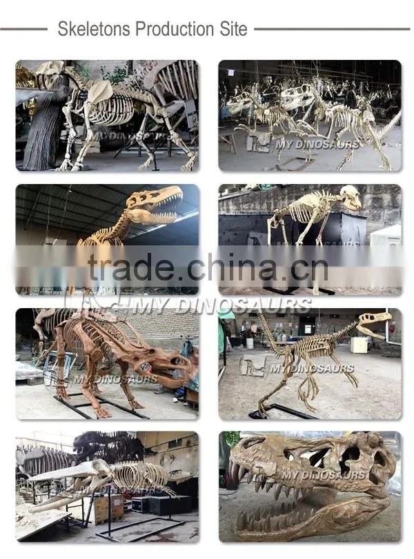 MY Dino-O08 Life size fiberglass dinosaur skeleton decoration