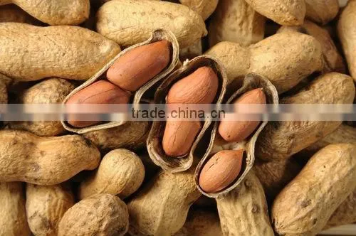 Peanuts