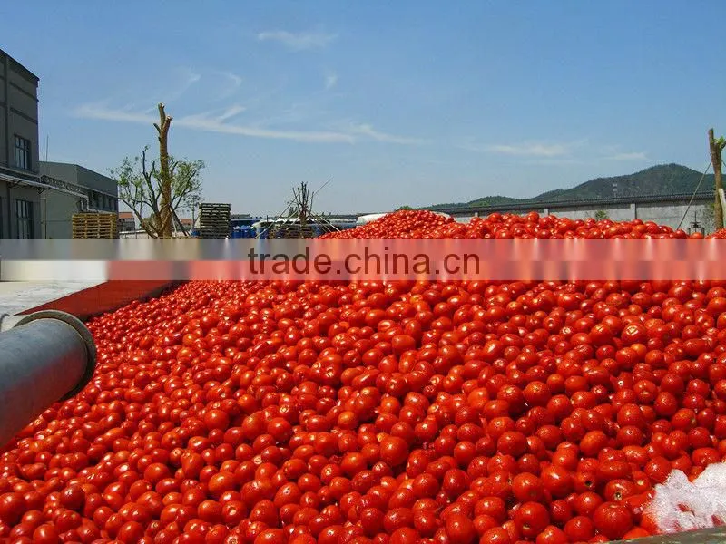 top quality china tomato paste sauce ketchup factory 3000g 3kg double concentrated canned
