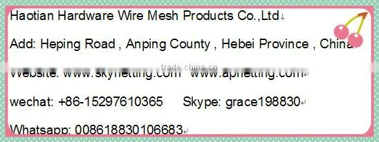 electro-galvanized 1/2 inch mesh welded wire mesh for construction