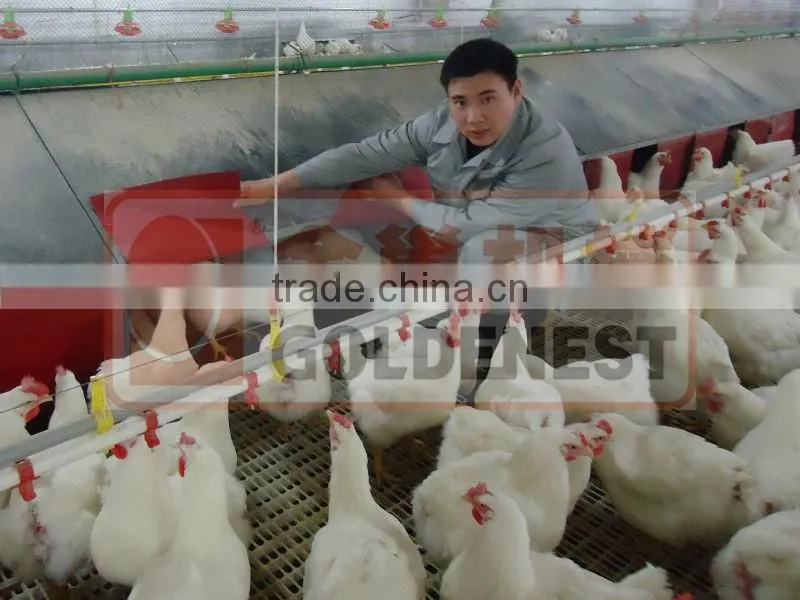 Goldenest chicken nest/Manual egg collection box/laying nest