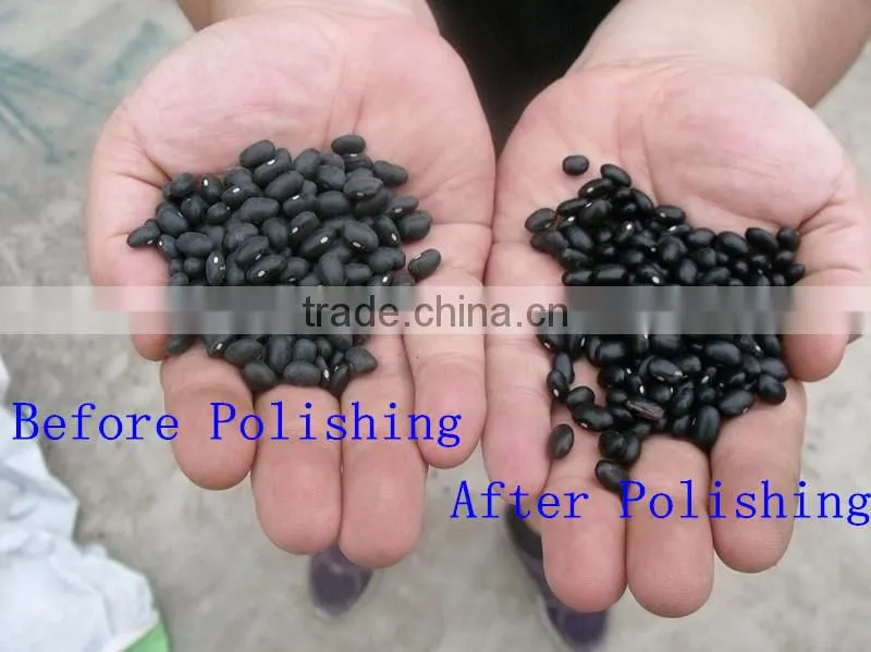 Green Mung Bean Polishing Machine
