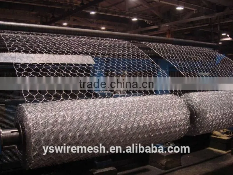 Gabion hexagonal wire mesh box