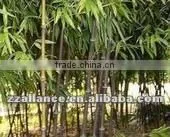 Best selling bamboo skewer machinery