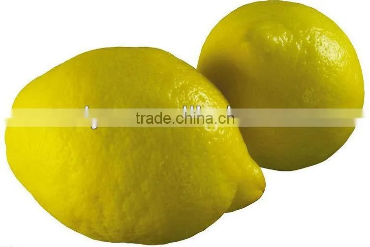 new design persimmon peeling machine