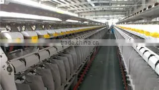 Hubei Welljoy Import & Export Trading Co., Ltd. company overview - view 2