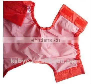 Summer Dog Raincoat