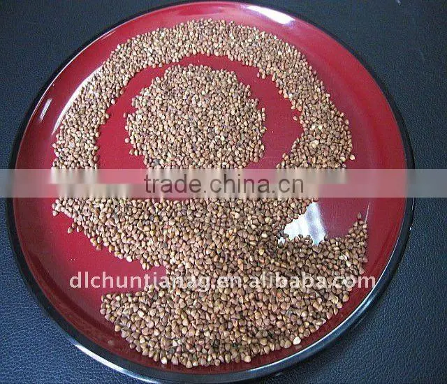 organic buckwheat