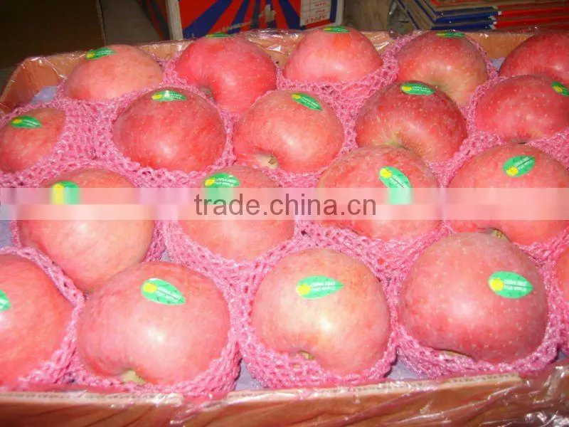 2013 fresh fuji apple