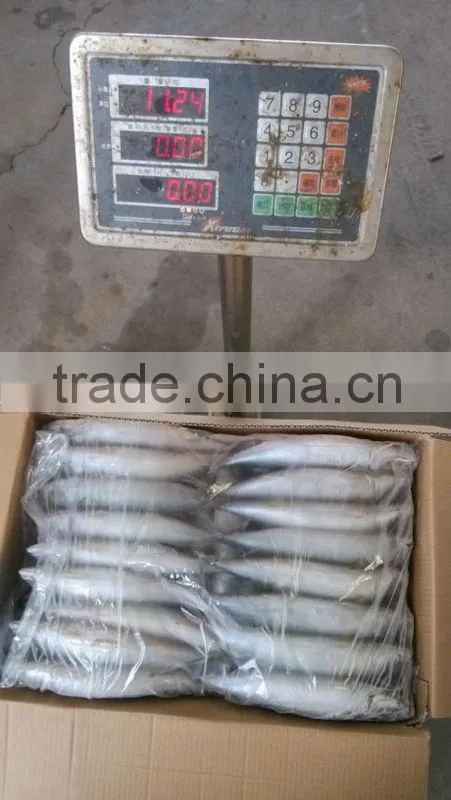 Frozen Mackerel 150-200g 200-300g 300-400g
