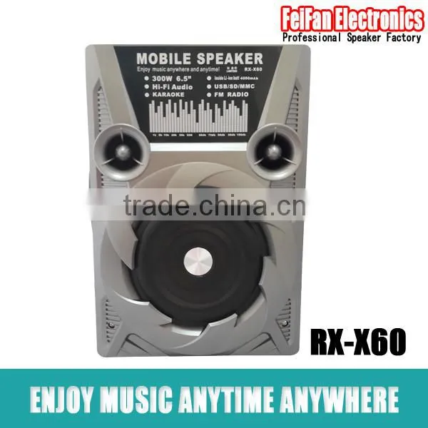 Top Sale 6.5 Inch Amplifier Speaker With Fm Radio