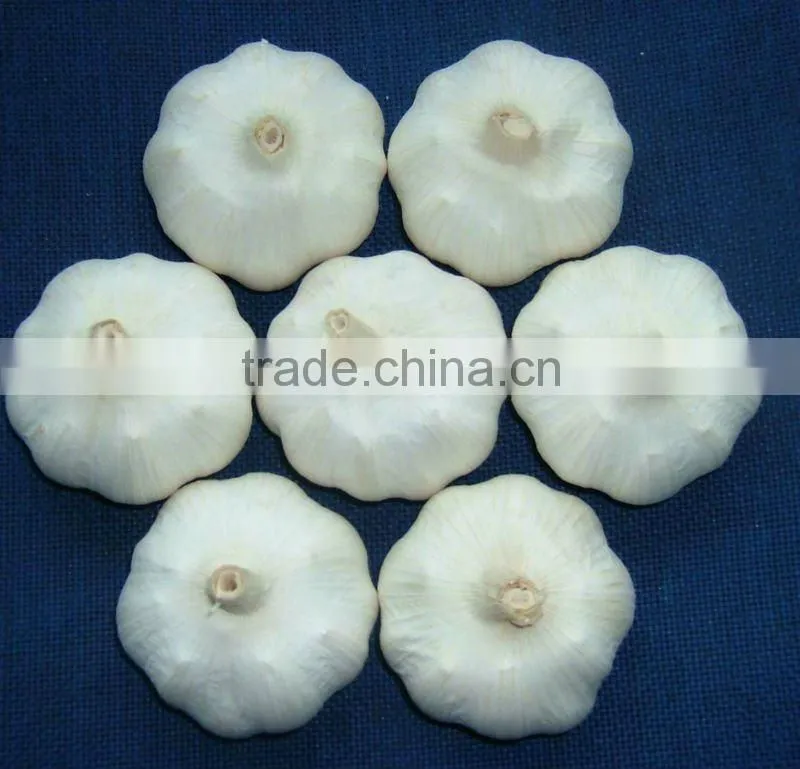 chinese snow white garlic