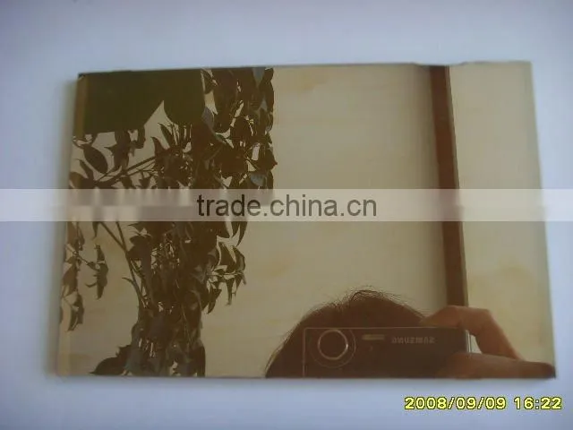 4-6mm Bronze Tinted Glass/Decorative window glass
