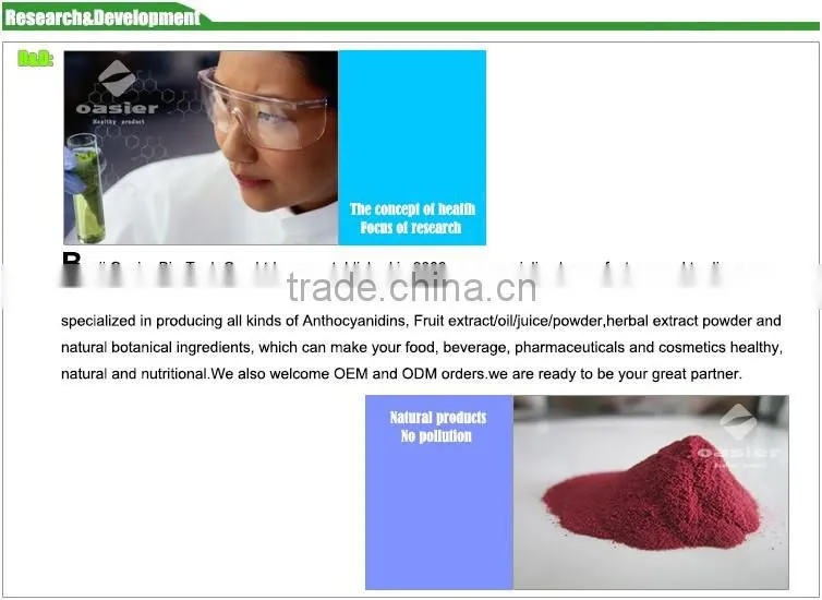 Factory Supply Cranberry Powder For Human Health