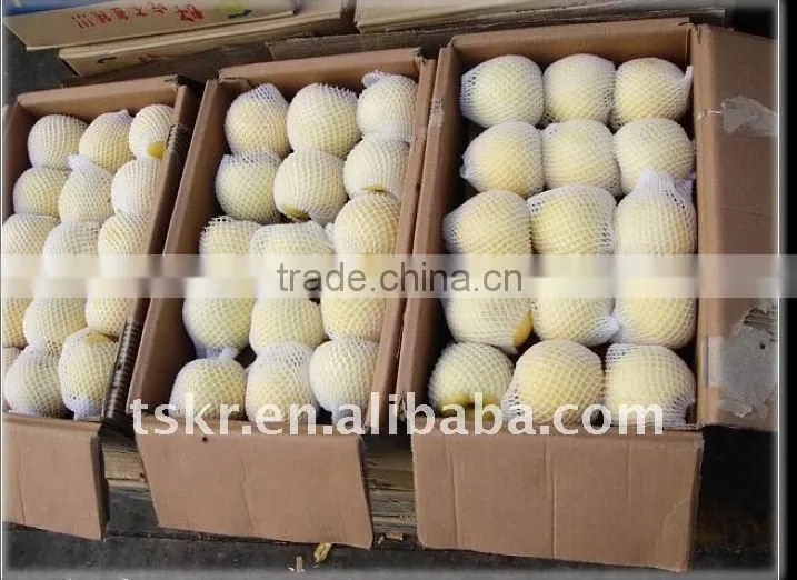 royal Chinese delicious juicy apples in 2011