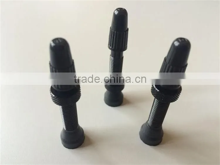 Top quality bicycle tubeless valve fr12 bike tire valve stem, caps, core factory