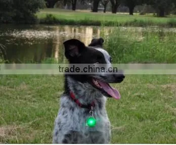 LED Light Safety Dog Collar Charm and Leash Light , pet collar light