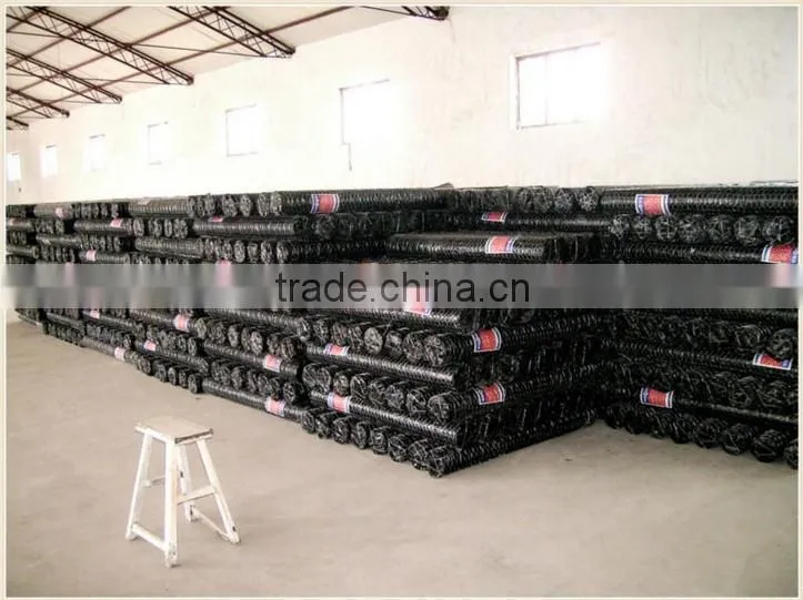Anping Xinxiang Cheap Galvanized Hexagonal Wire Netting