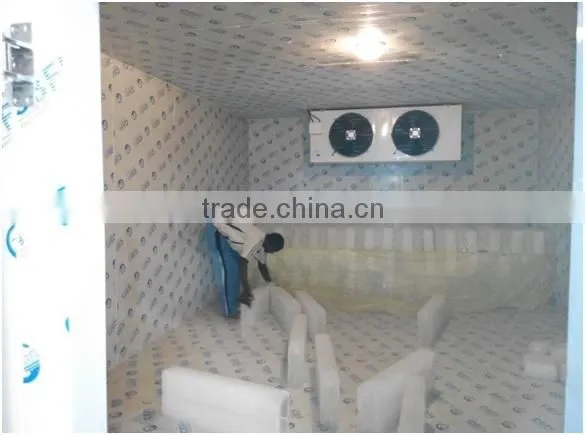 Blast Freezer for Quick frozen fish and chicken