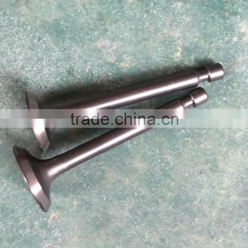 154F BISON China Taizhou Intake Exhaust Valve, Valve Exhaust, Engine Valve